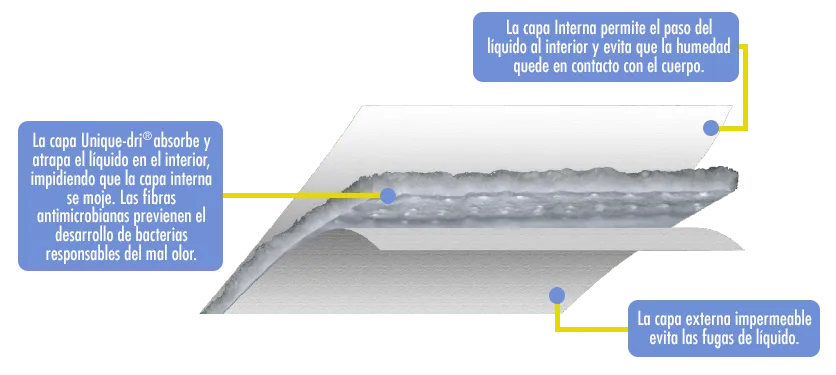 Esquema que muestra las 3 capas del pad de absorción de la ropa interior Wearever para incontinencia urinaria.